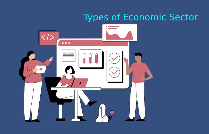 What Is Business Sector Types And Importance