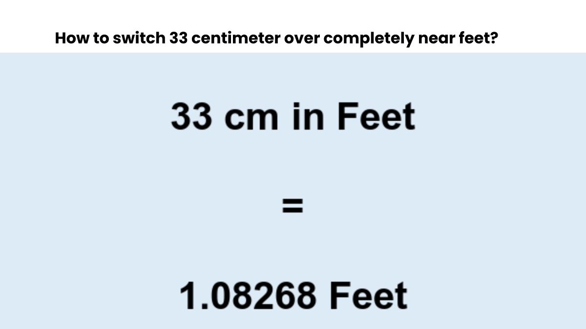 33 Cm To Feet