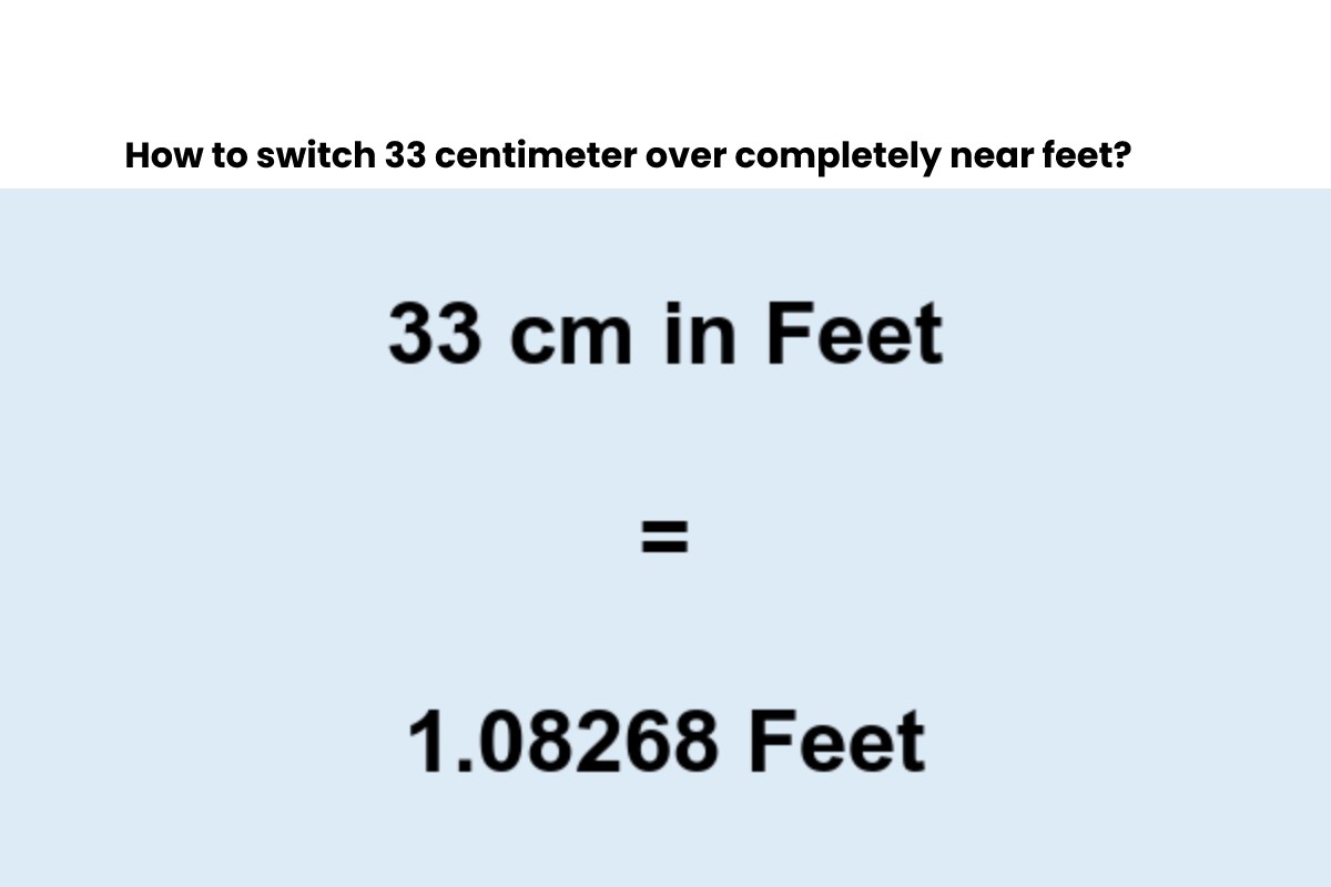 33 Cm To Feet