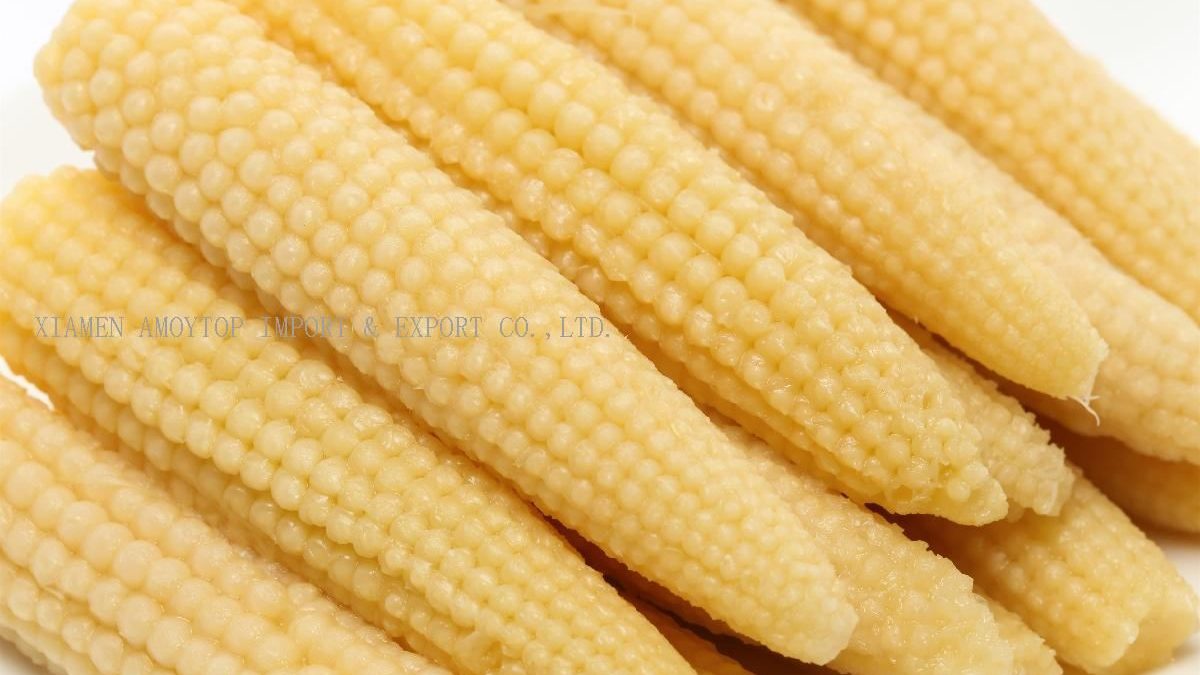 Top Canned Baby Corn Exporter In Thailand: A Must-Try For Food Lovers!