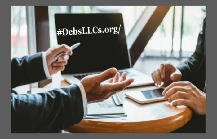 Why #debsllc.org Posts Are Crucial for Your Business_