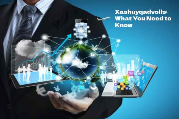 Xashuyqadvolls _ What You Need to Know